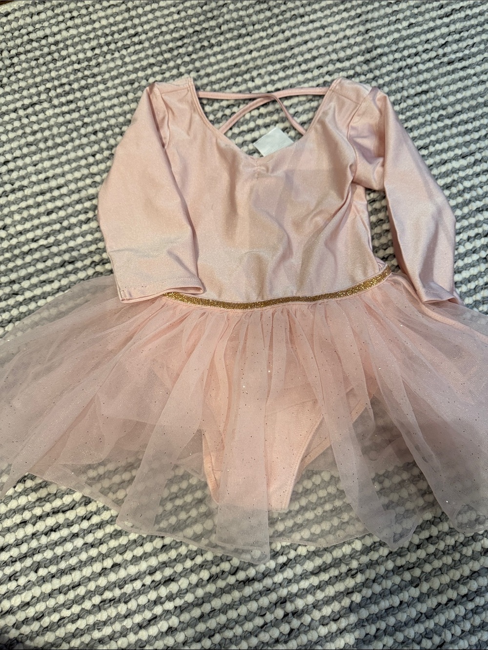 H&M Pink Sparkle Tulle Ballet Dress with Gold Waistband